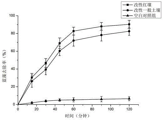 Modified red soil for removing cyanobacteria and preparation method