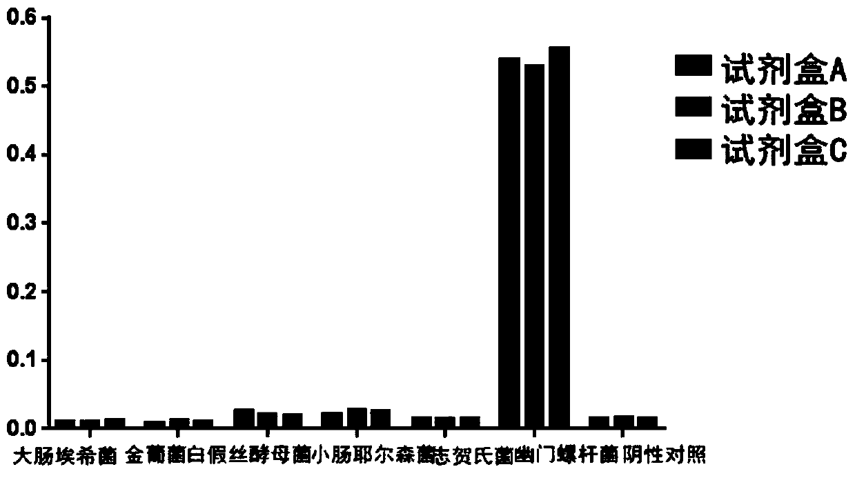 Helicobacter pylori CagL protein detection kit and detection method thereof