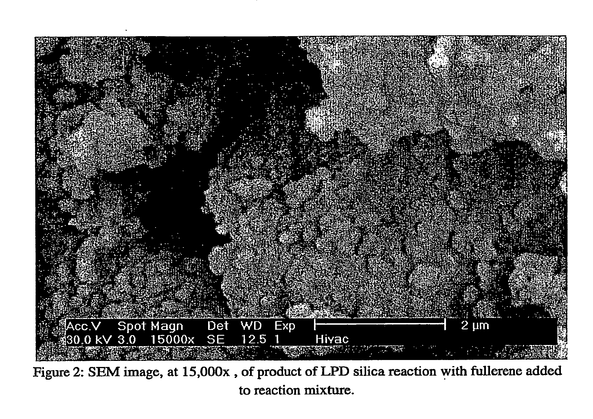 Coated Fullerenes, Compositions And Dielectrics Made Therefrom