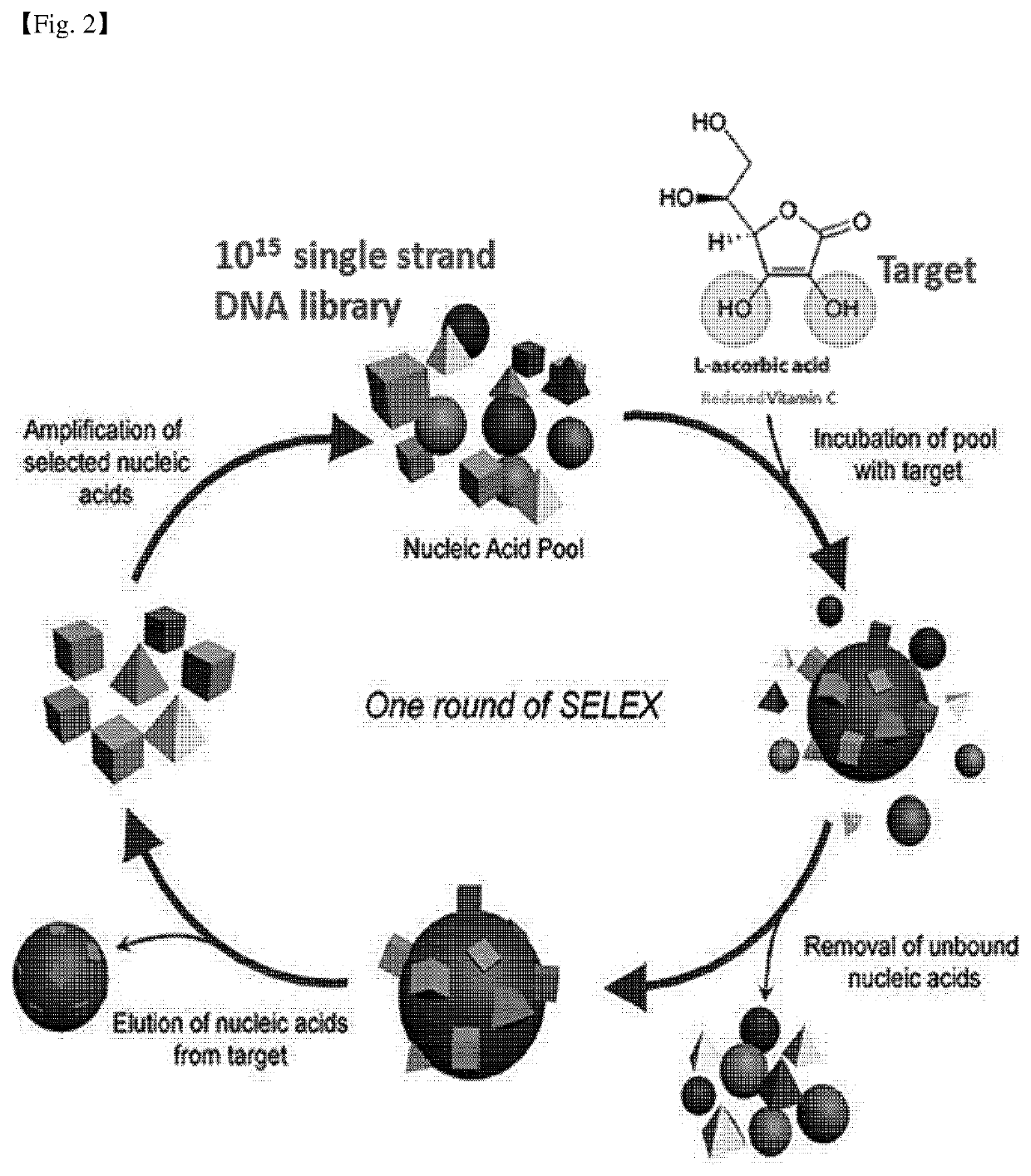 Composition comprising aptamer as active ingredient for treatment and prevention of degenerative brain disease