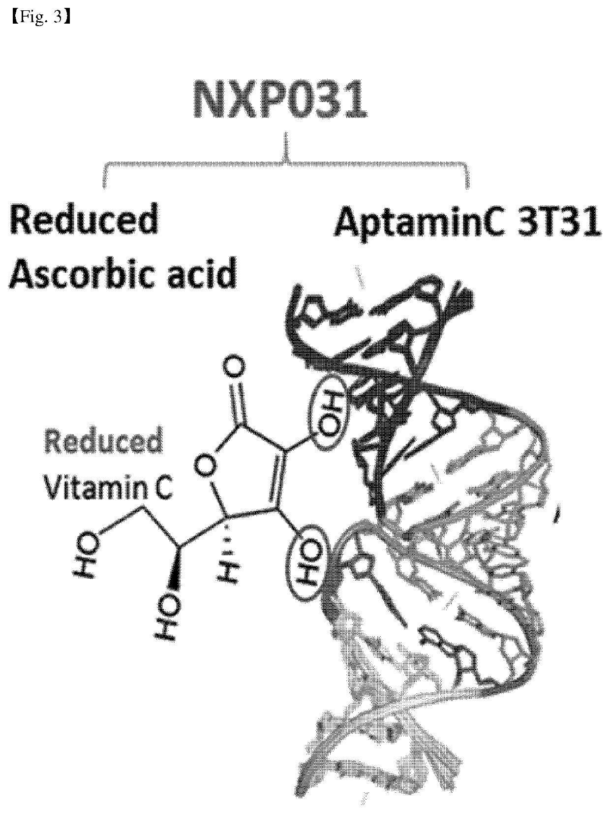 Composition comprising aptamer as active ingredient for treatment and prevention of degenerative brain disease