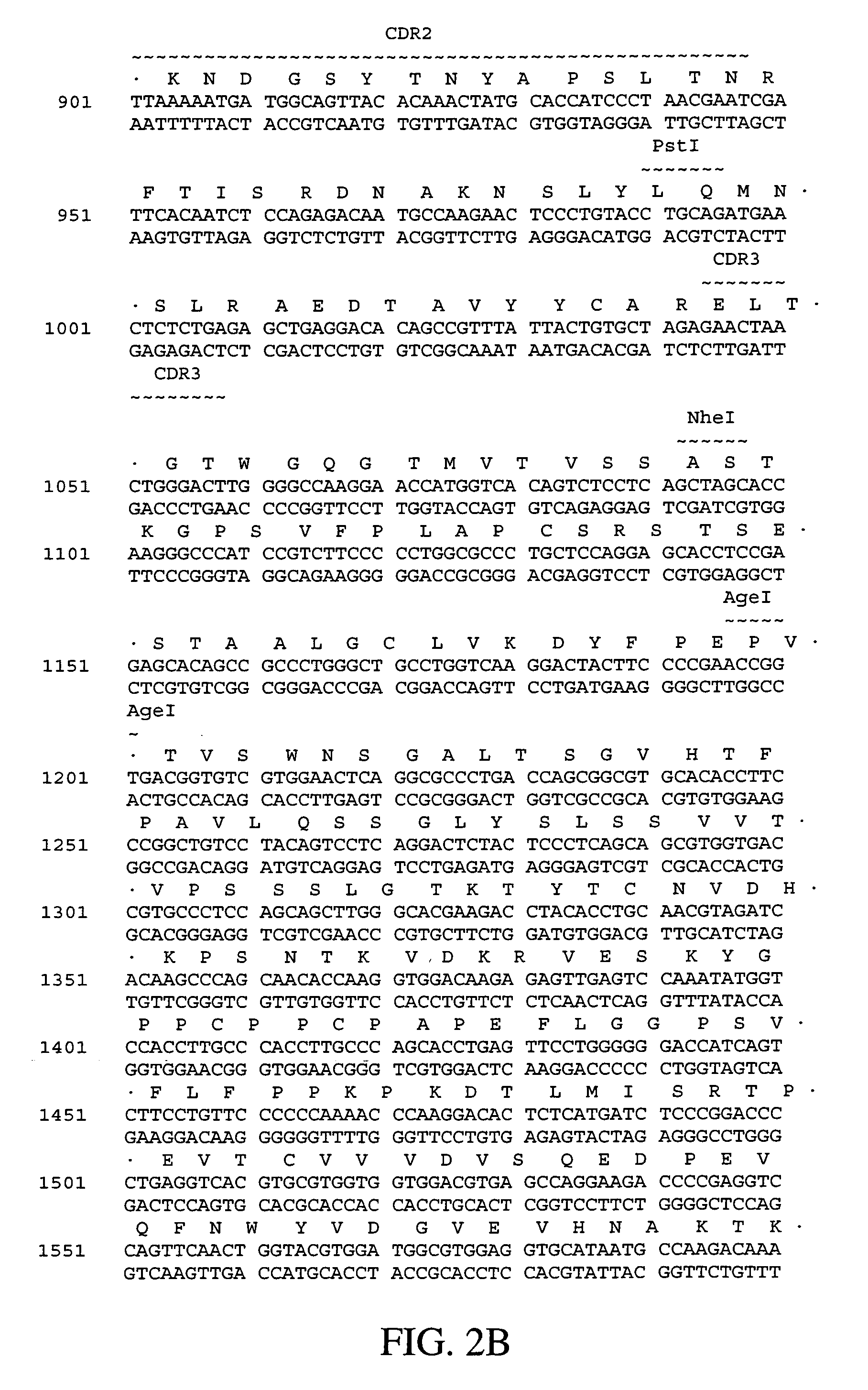 Polynucleotides encoding humanized antibodies against human 4-1BB