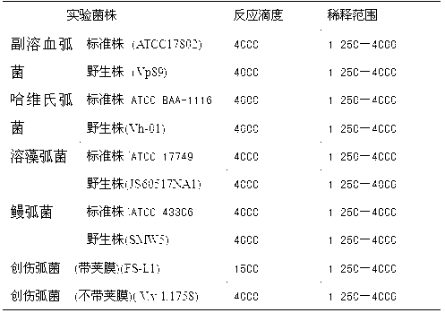 Fish broad-spectrum vibrio subunit vaccine and preparation method