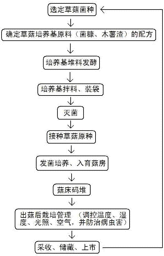 Mass production mode of bag cultured volvaria volvacea with spent substrate of pleurotus eryngii