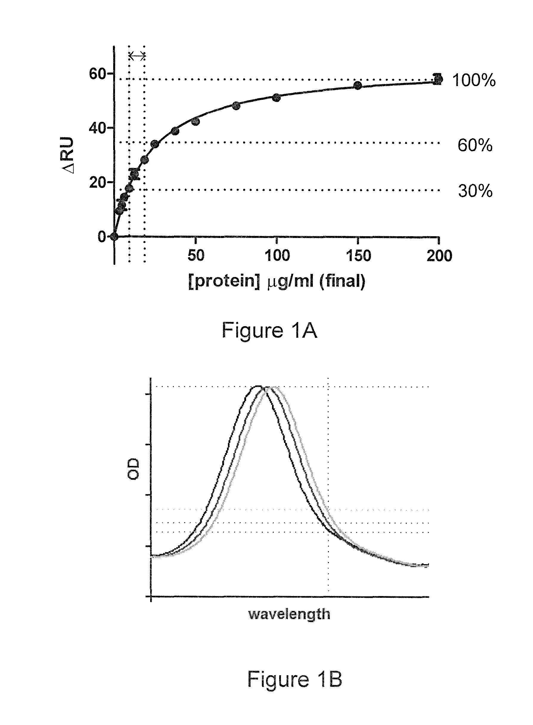 Method and kit for measuring interaction between molecules