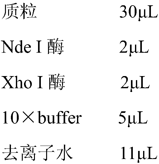 Fumonisin degrading enzyme, coding gene, recombinant vector, cell, additive and application thereof