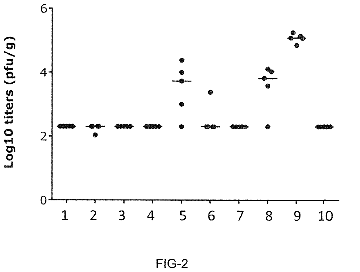 Novel rsv RNA molecules and compositions for vaccination