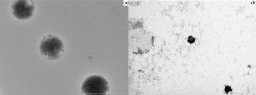 L-proline immobilized temperature-responsive core-shell microgel and preparation and application thereof