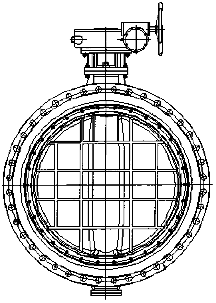 Cast iron eccentric bidirectional sealing butterfly valve