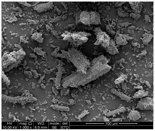 Biomass composite material as well as preparation method and application thereof