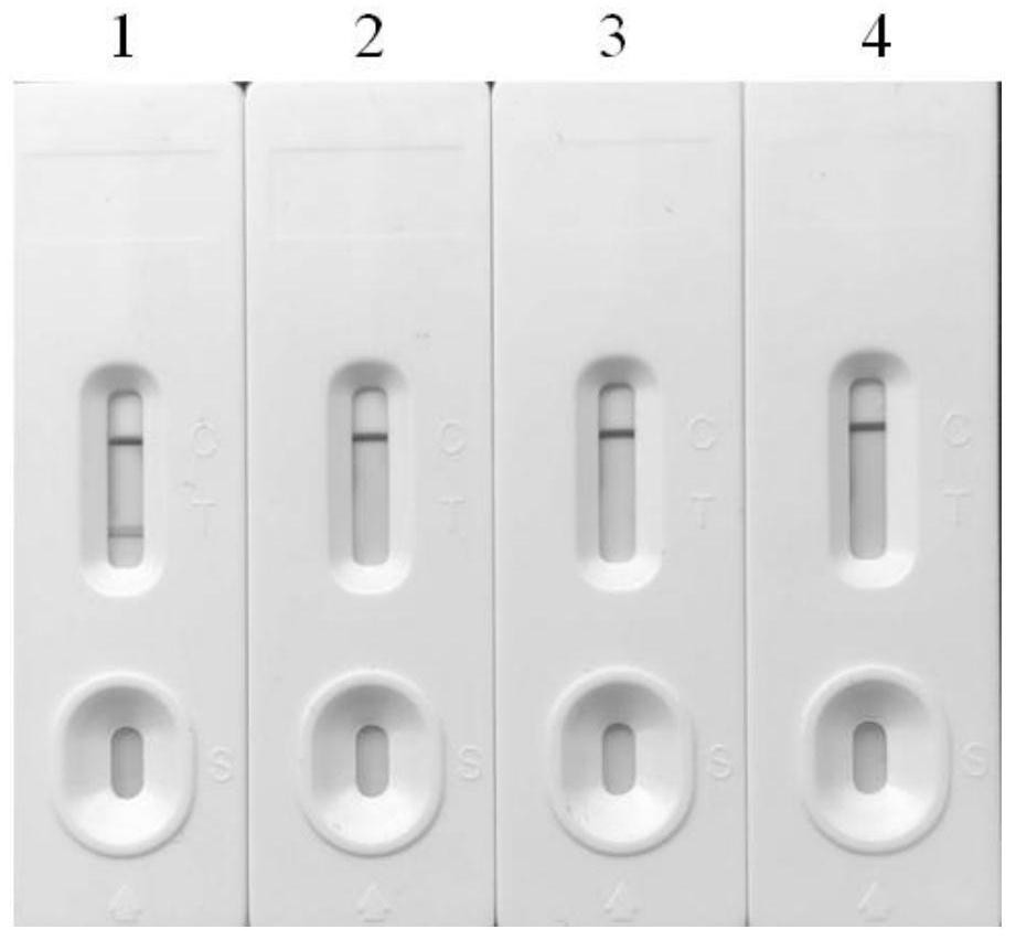 Colloidal gold test strip for rapidly detecting hyaluronic acid