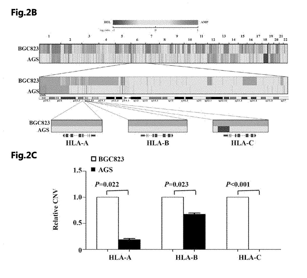 Methods and Compositions for the Diagnosis and Treatment of Cancer