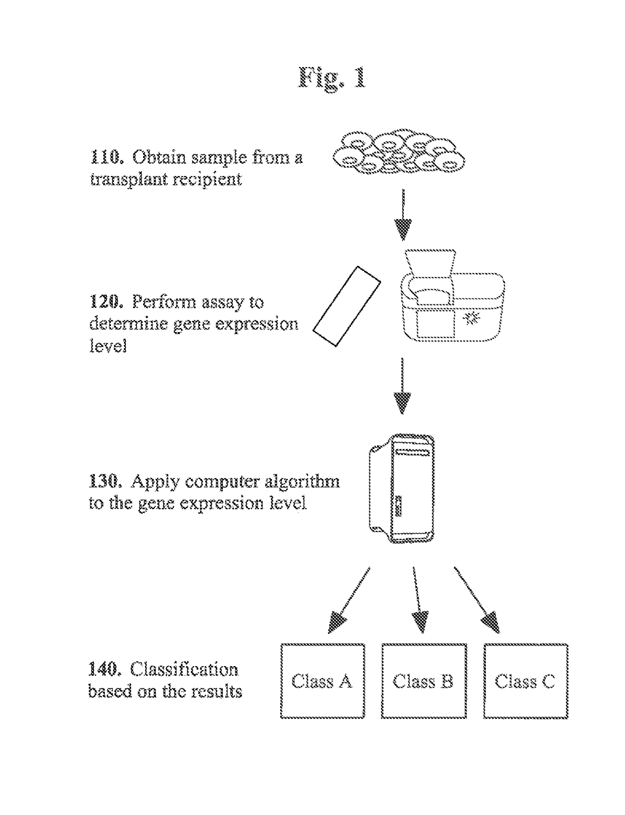 Molecular signatures for distinguishing liver transplant rejections or injuries