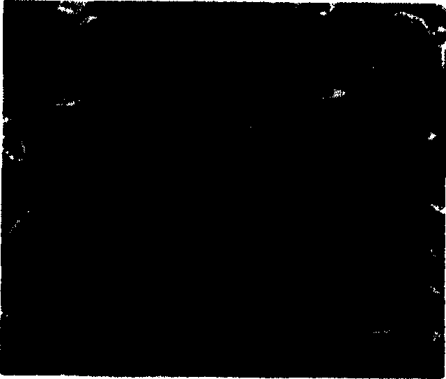 Process for preparing nanometer zinc oxide precursor