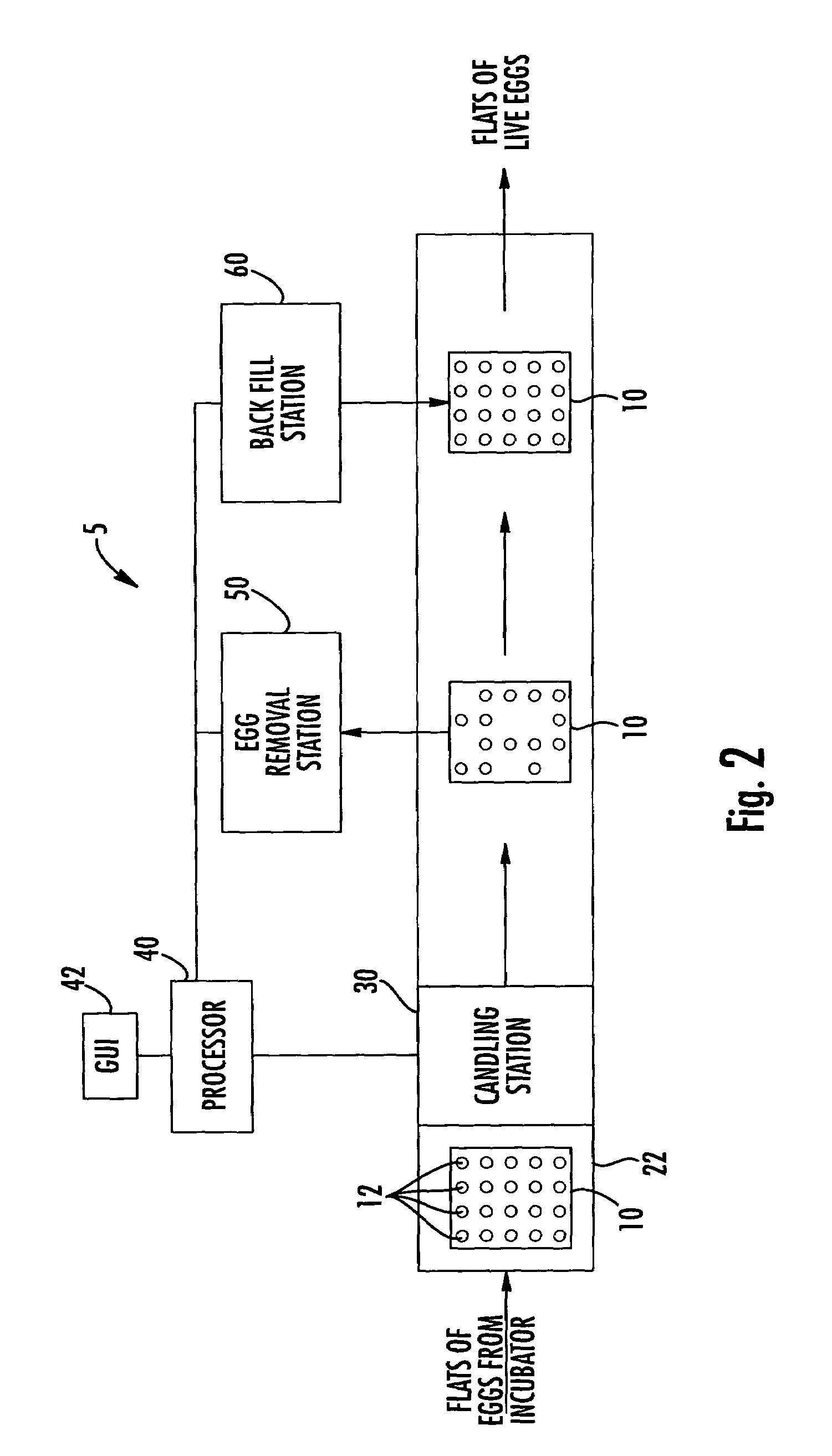 Methods and apparatus for identifying and diagnosing live eggs using heart rate and embryo motion