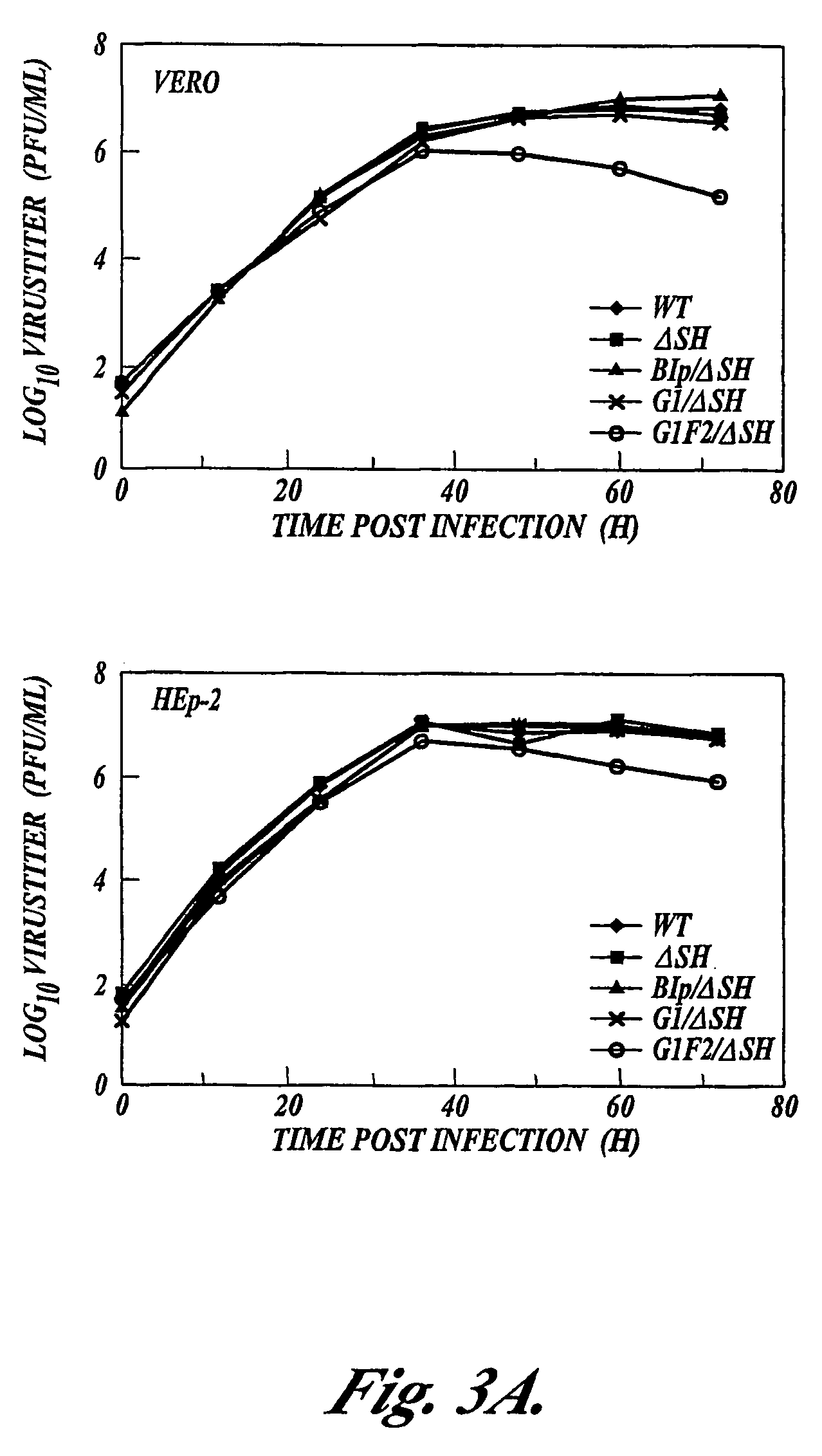 Respiratory syncytial virus vaccines expressing protective antigens from promotor-proximal genes