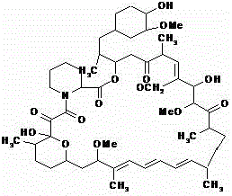 Sirolimus self-microemulsion preparation and preparation method thereof