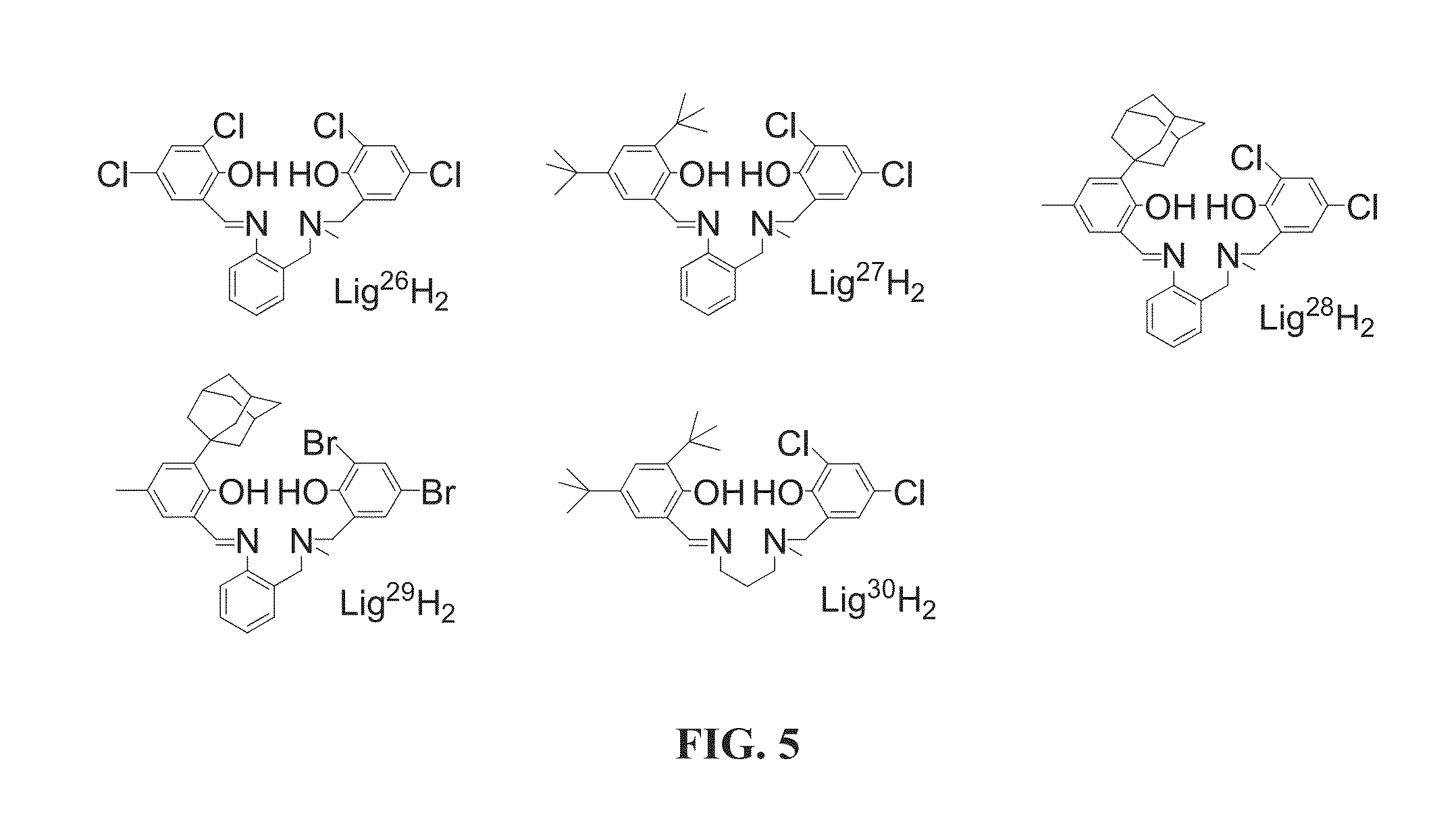 Salalen ligands and organometallic complexes