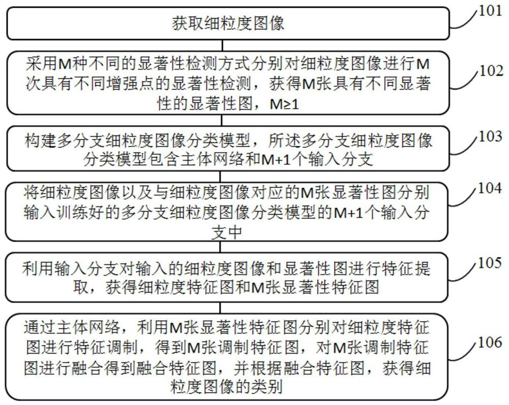 Fine-grained image classification method and system based on saliency branch feature fusion