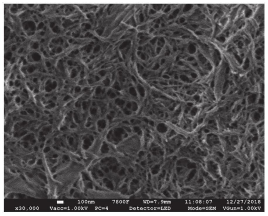 Nano cellulose and preparation method thereof