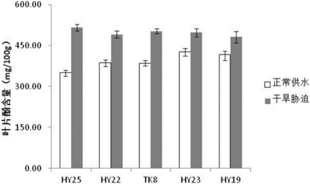 Method for screening drought resistance type peanuts