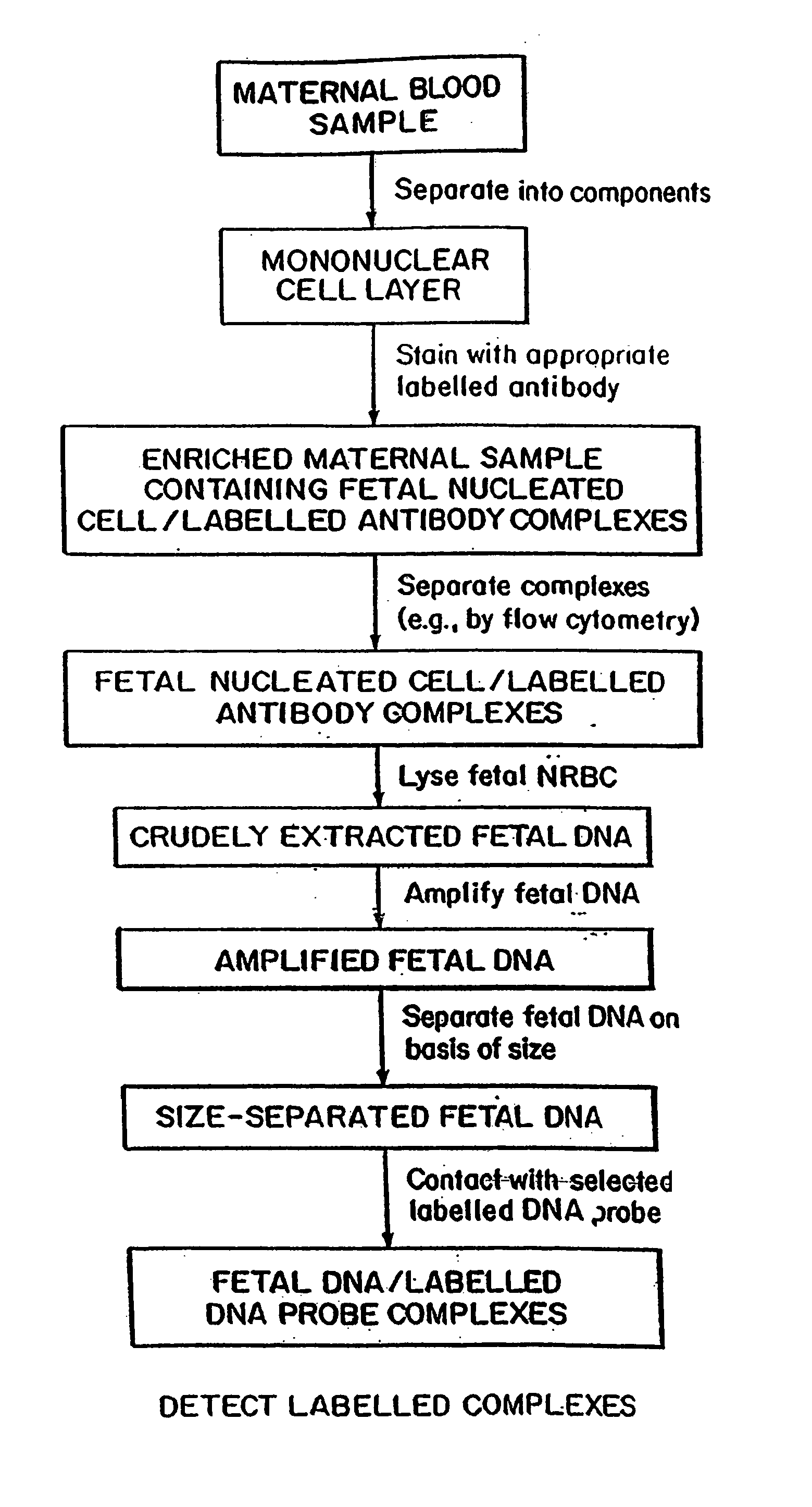 Non-invasive method for isolation and detection of fetal DNA