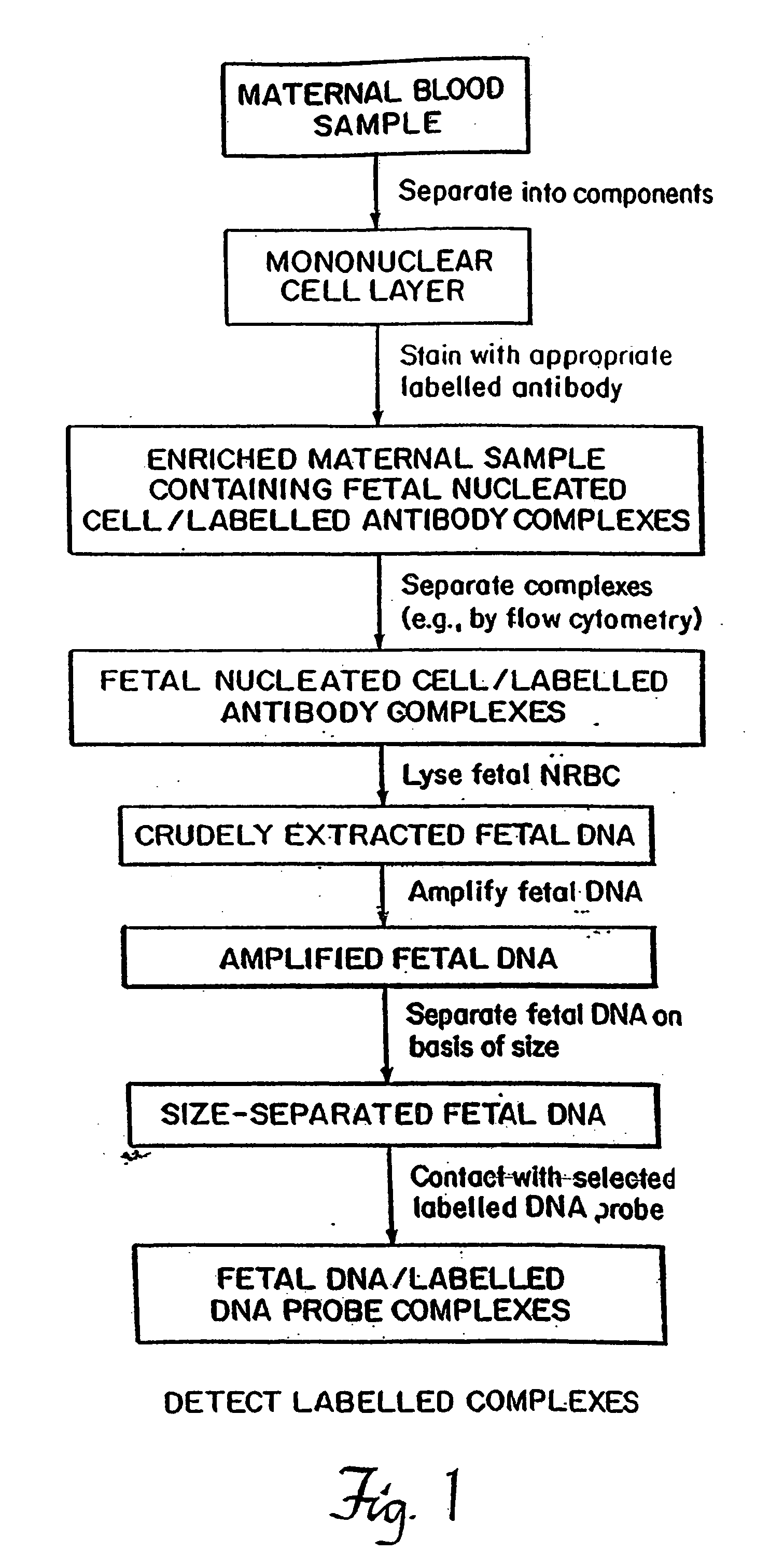 Non-invasive method for isolation and detection of fetal DNA