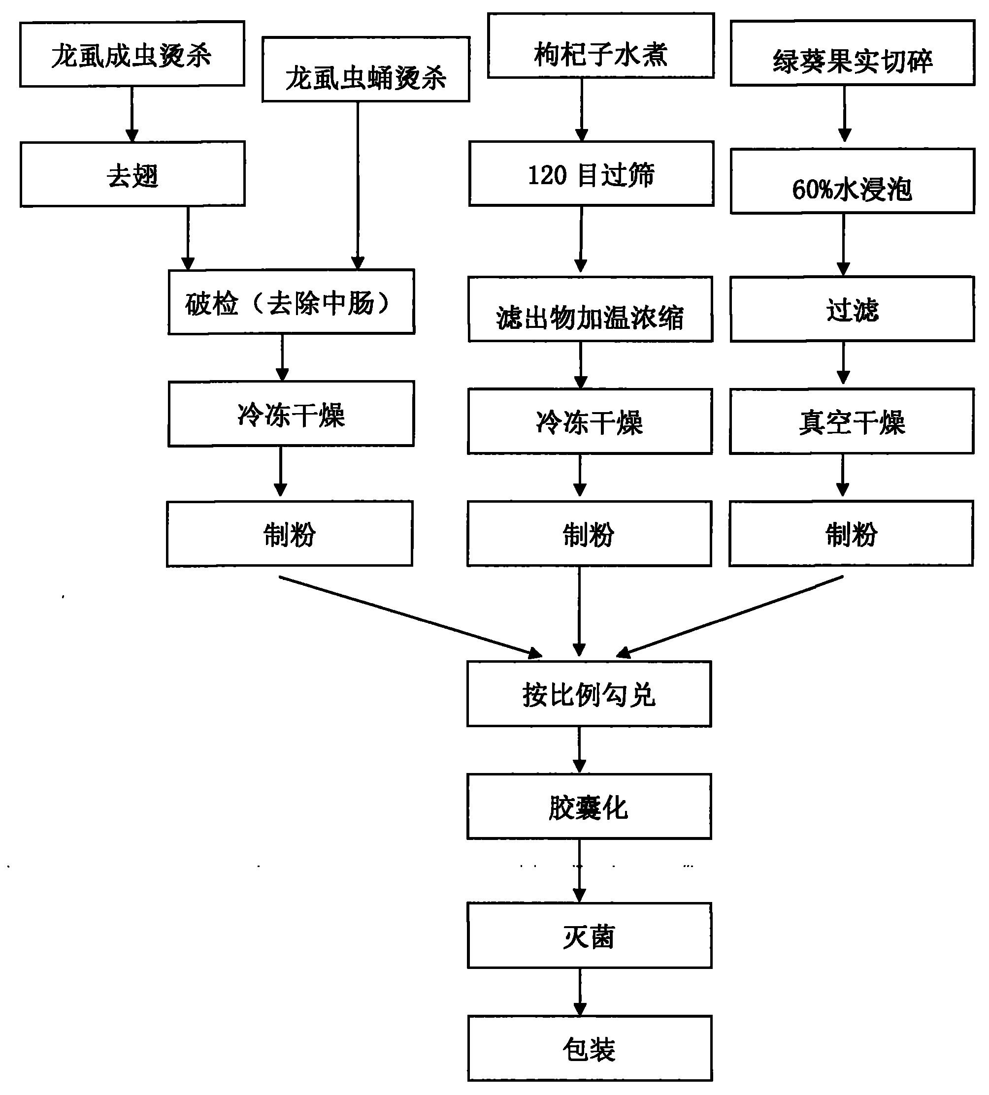 Special lyophilized water beetle powder for athletes, and preparation method thereof