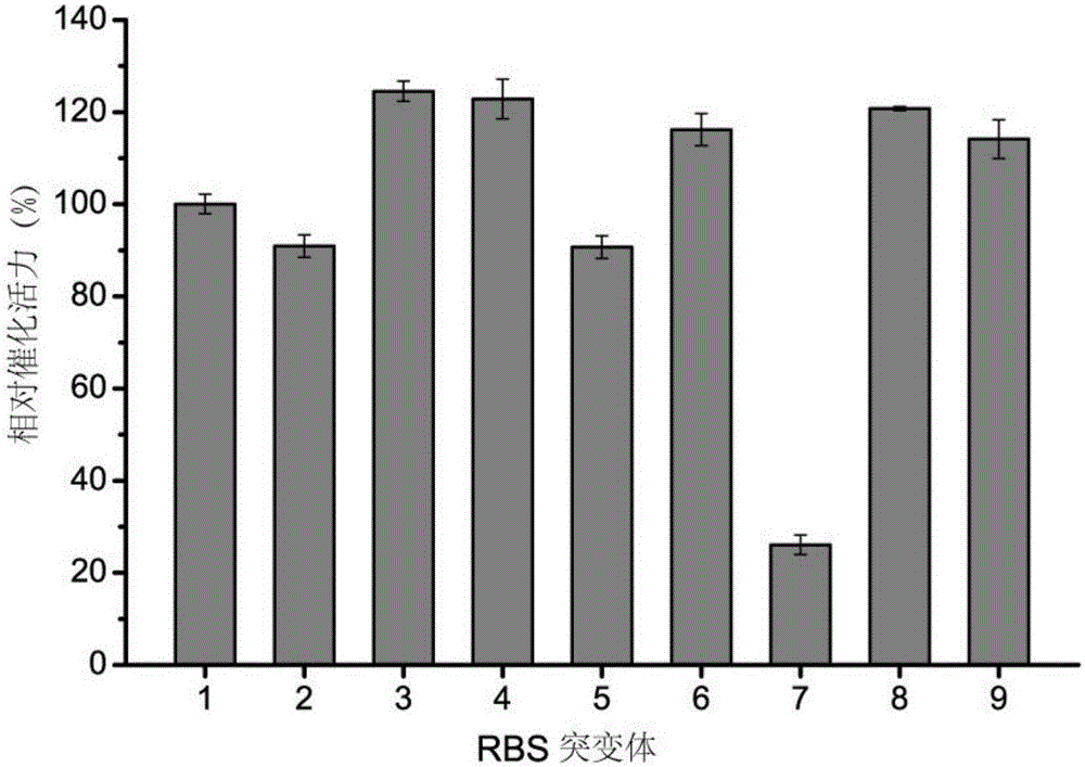 Method for improving alpha-ketoisocaproate yield through RBS optimization