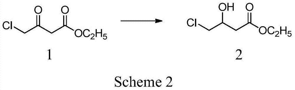 A kind of preparation method of highly optically pure l-carnitine