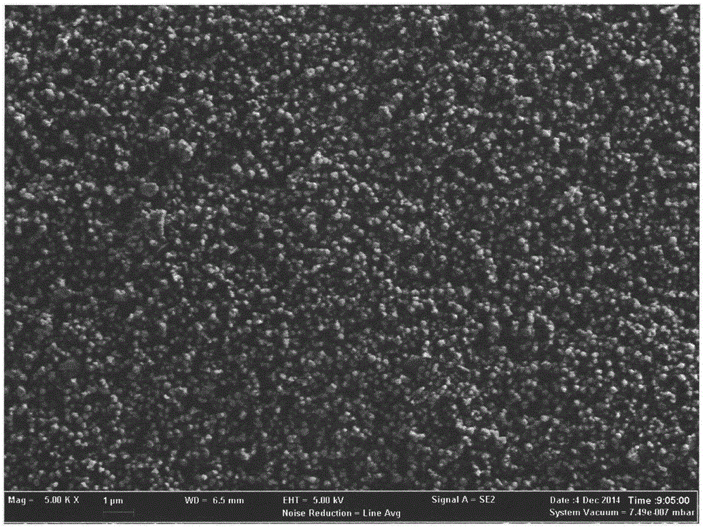 Magnetic microsphere for immobilizing earthworm fibrinolytic enzyme and preparation method thereof