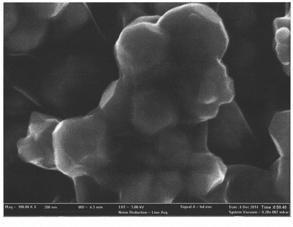 Magnetic microsphere for immobilizing earthworm fibrinolytic enzyme and preparation method thereof