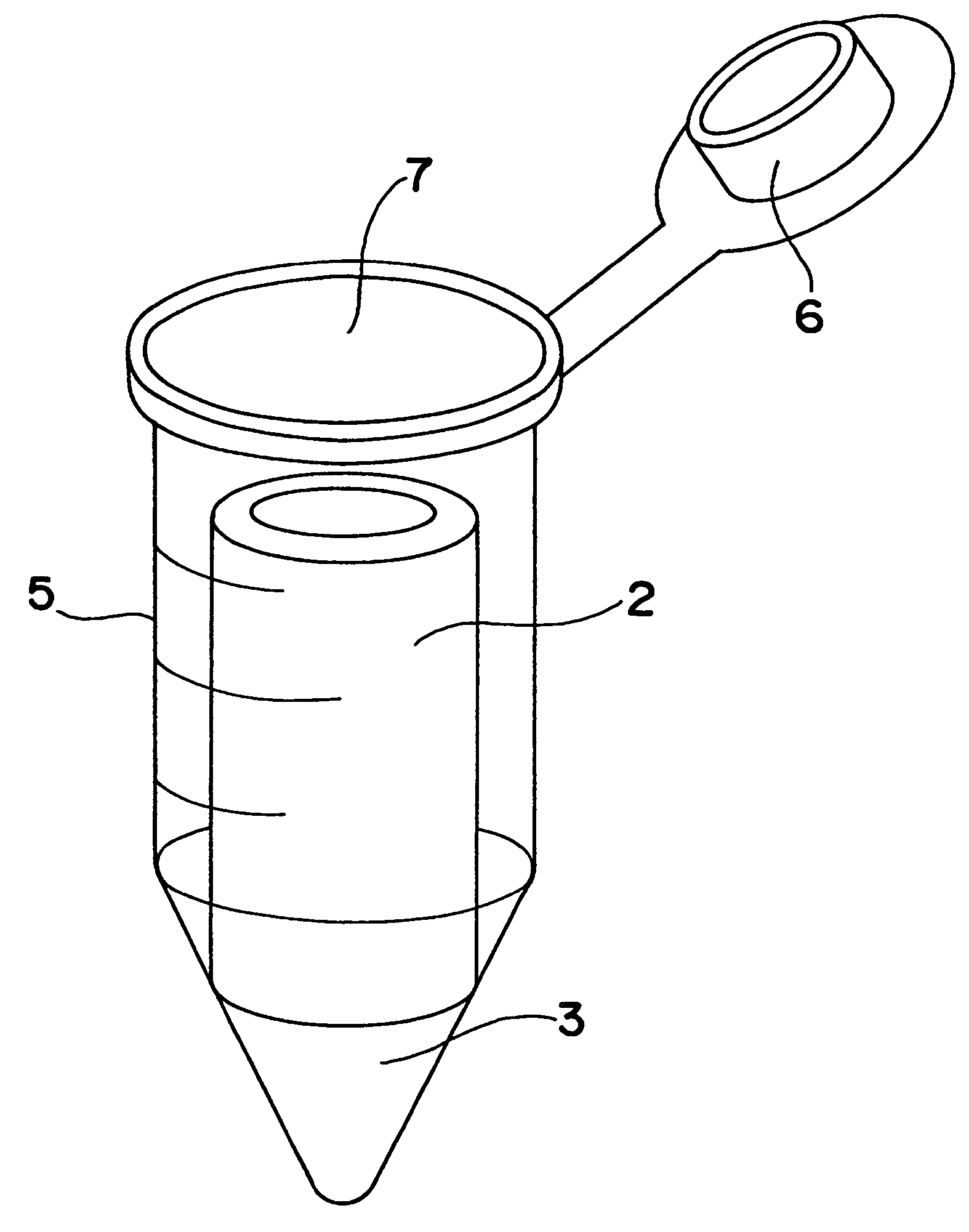 Apparatus for culturing organism and method of culturing organism