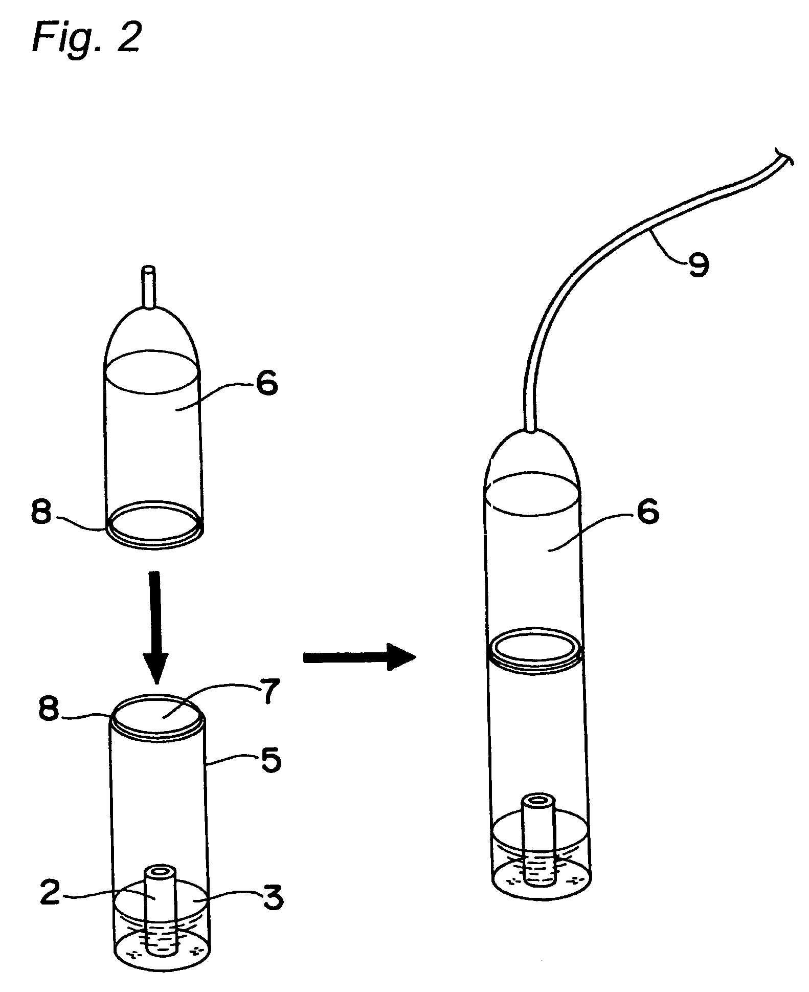 Apparatus for culturing organism and method of culturing organism