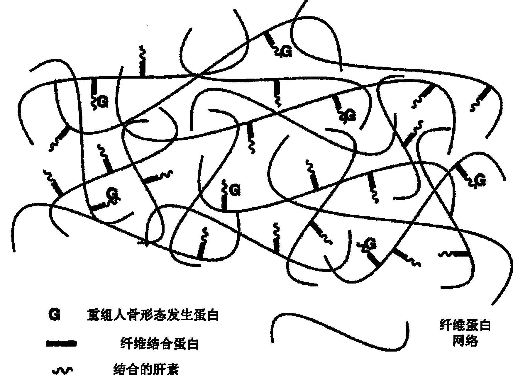 Bone induction material and preparation method and application thereof