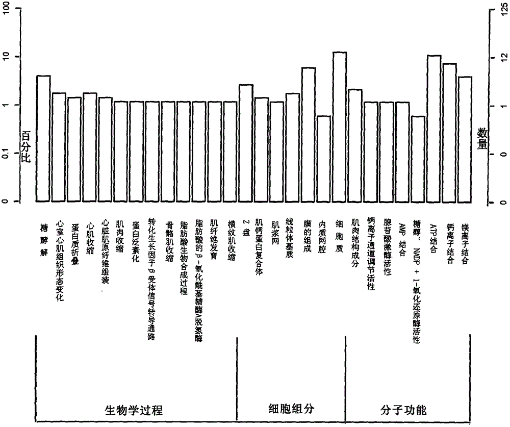 Method for screening and annotating of longissimus dorsi differential expression genes of pigs of different varieties