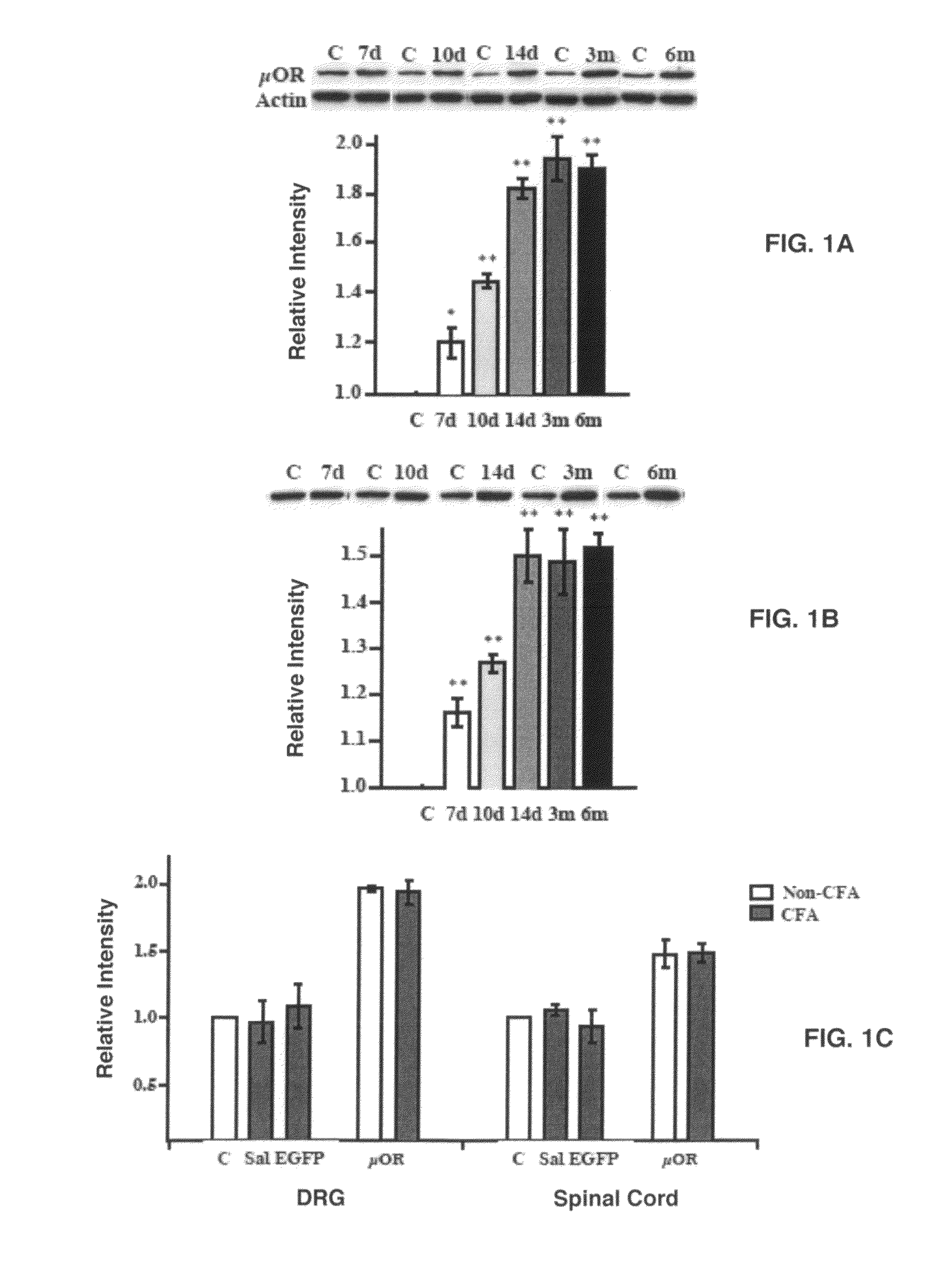 Upregulation of opioid receptors for management