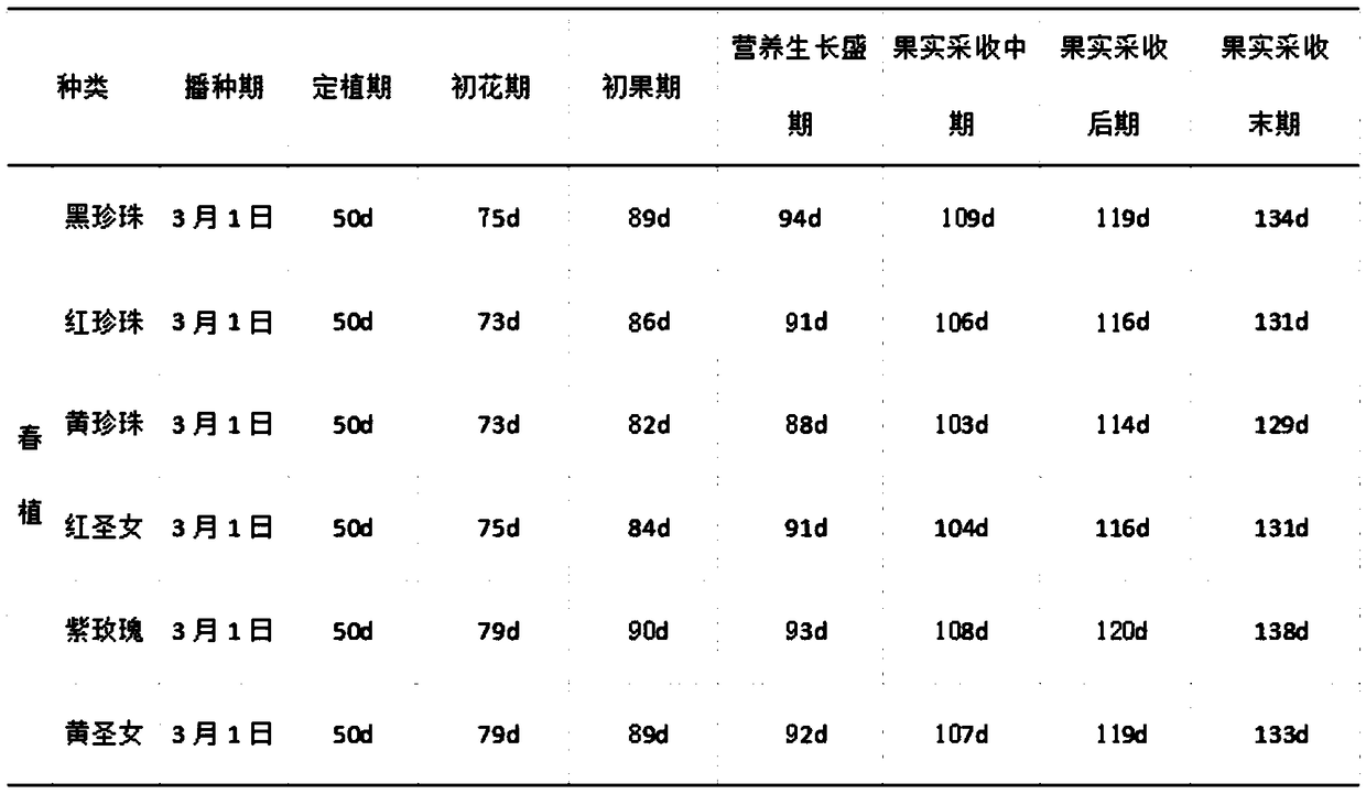 Planting method of lycopersivonesculentum and application thereof