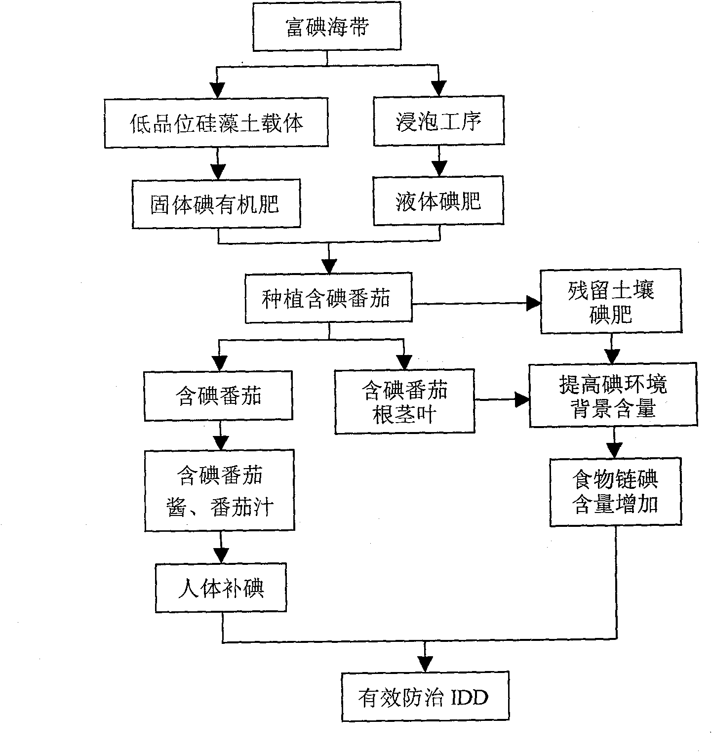 Method for planting iodine-containing tomato