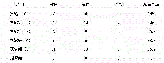 Fructus phyllanthi compound chewable tablet and preparation method thereof