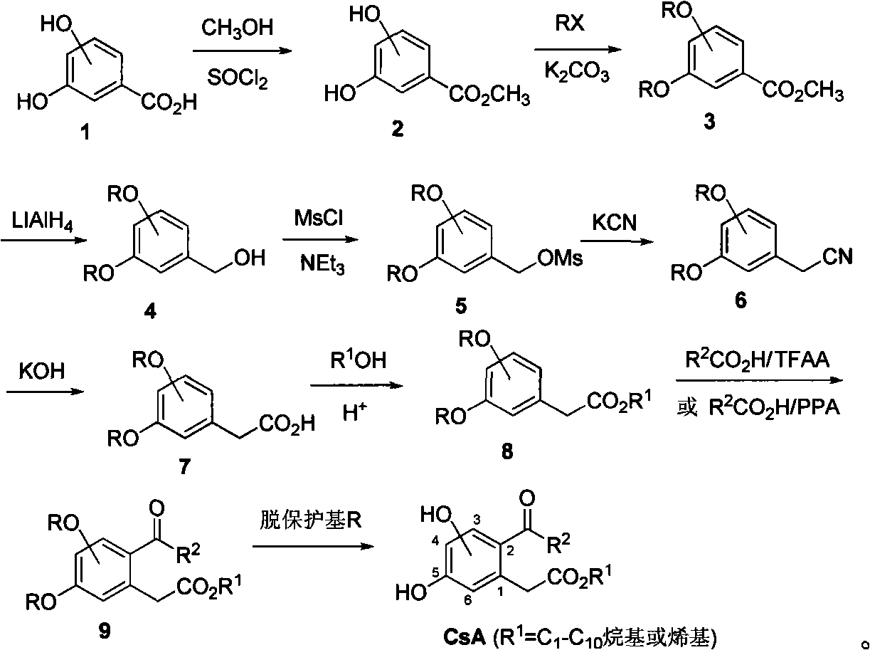 Bihydroxyl-2-acyl benzene acetic acid ester, producing method and uses thereof