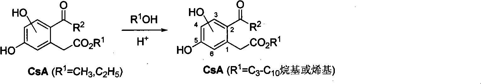 Bihydroxyl-2-acyl benzene acetic acid ester, producing method and uses thereof