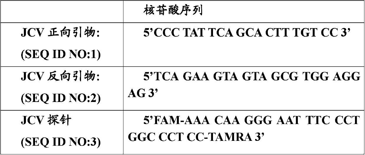 Assay for detection of jc virus dna