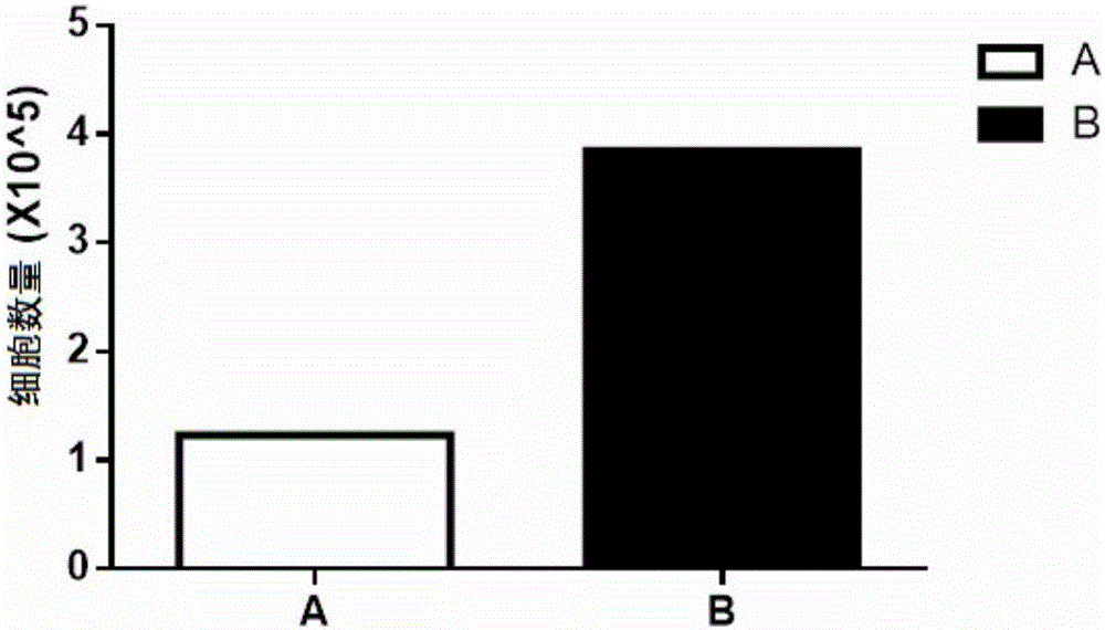 Canine mesenchymal stem cell bank and construction method thereof