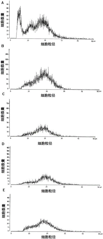 Canine mesenchymal stem cell bank and construction method thereof