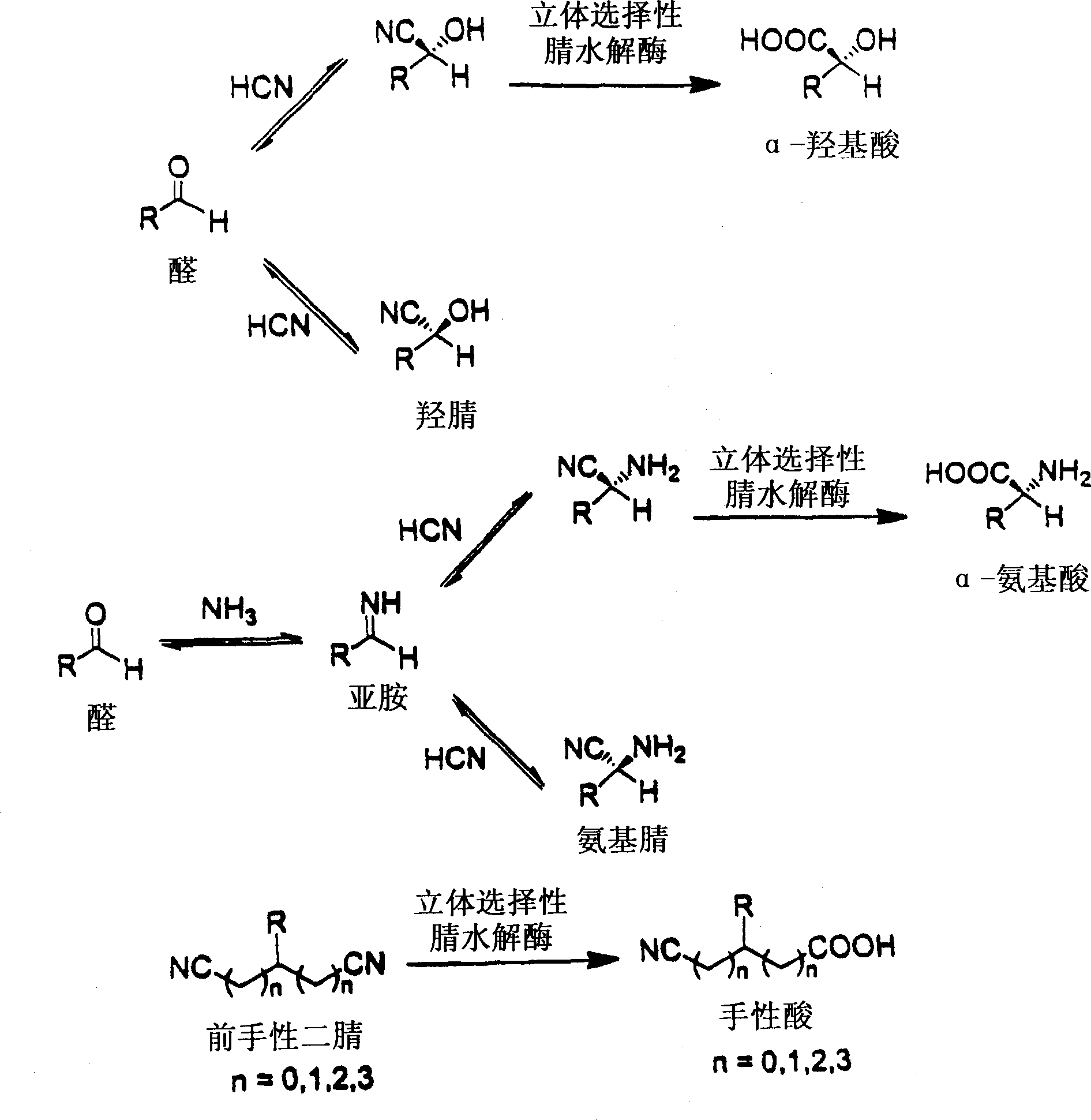 Nitrilases, nucleic acids encoding them and methods for making and using them