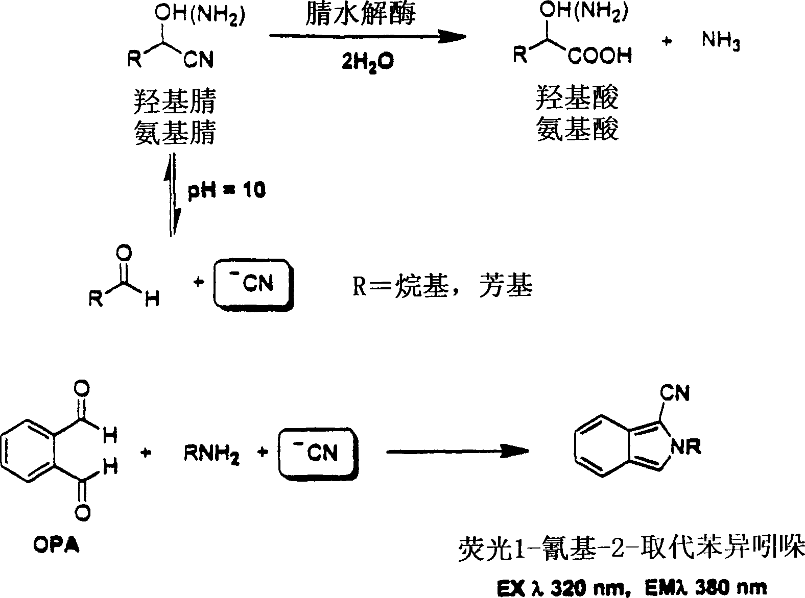 Nitrilases, nucleic acids encoding them and methods for making and using them