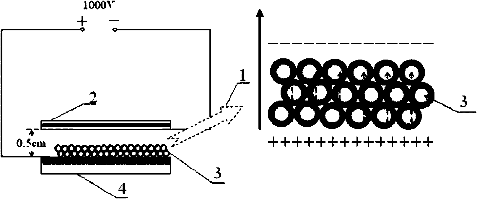 Method for preparing nanocrystal ternary titanium dioxide porous electrode by auxiliary crystallization in electrophoretic deposition high-voltage electric field