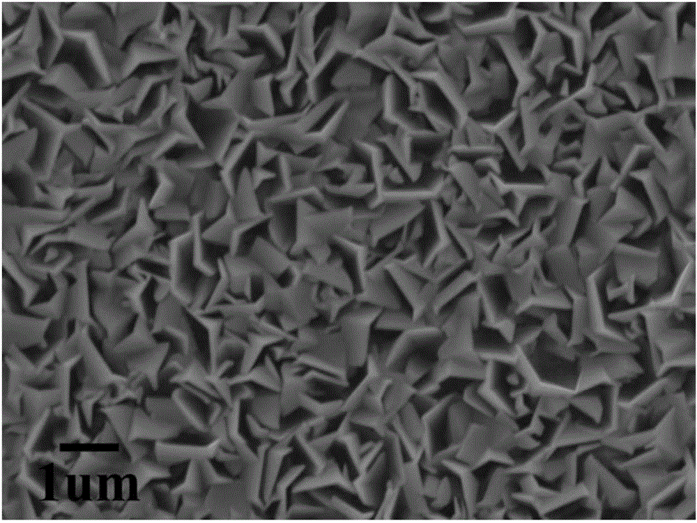 Preparation method of novel ZnO-nanosheet-structure coating