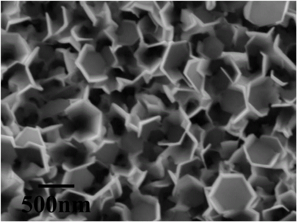 Preparation method of novel ZnO-nanosheet-structure coating